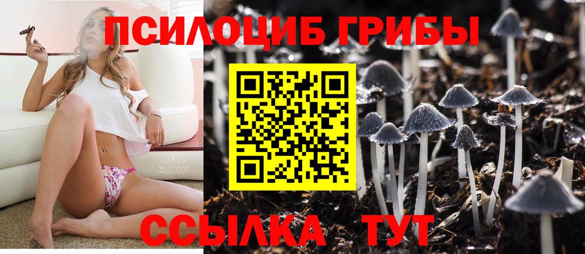 Галлюциногенные грибы GOLDEN TEACHER  Вход с VPN  Галлюциногенные грибы Magic Shrooms  что такое наркотик  Губкинский 
