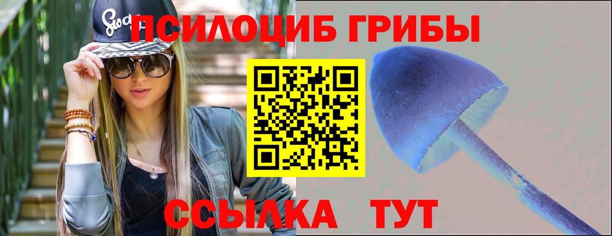 Псилоцибиновые грибы ЛСД Губкинский